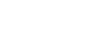 vomworld 2025 logo new white